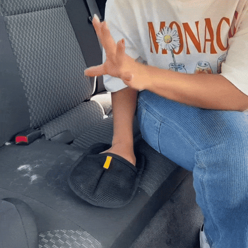 PetPure™ – Keep Your Home Hair-Free, The Easy Way💯