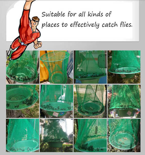 Outdoor Fly Control System
