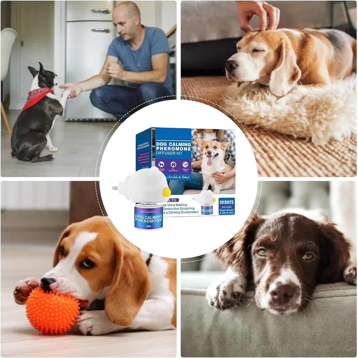 PET CALMING PHEROMONE