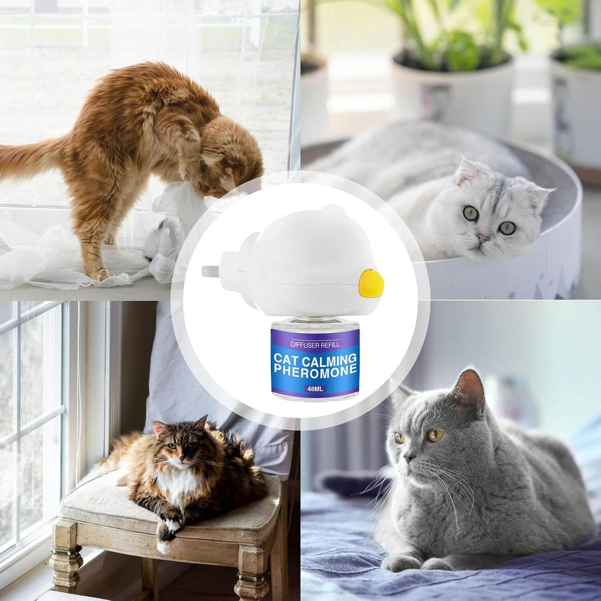 PET CALMING PHEROMONE