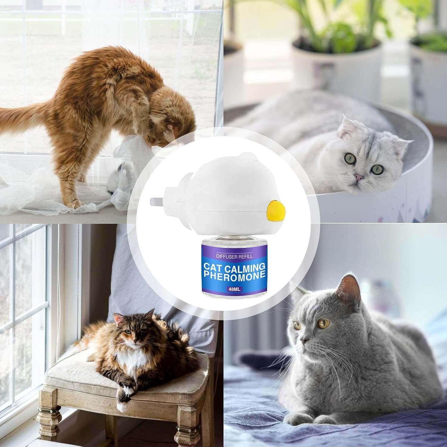 PET CALMING PHEROMONE